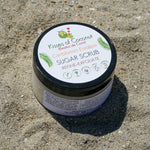 Caribbean Escape Glowing Sugar Scrub - Kisses of Coconut