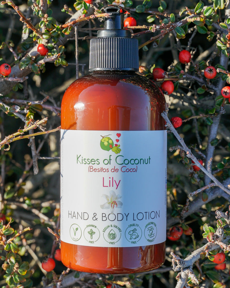 Lily Hand & Body Lotion - Kisses of Coconut