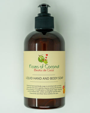 Liquid Hand and Body Soap - Kisses of Coconut