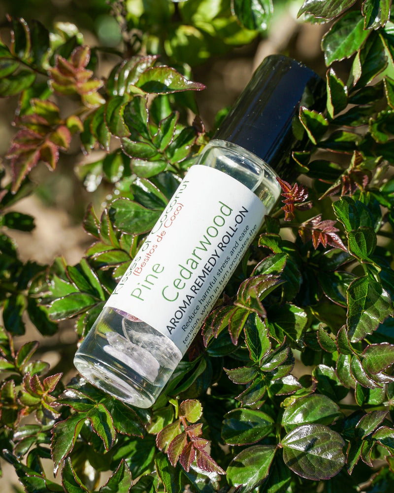 Pine Cedarwood Aromatherapy Roll-On - Kisses of Coconut