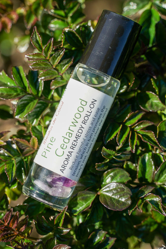 Pine Cedarwood Aromatherapy Roll-On - Kisses of Coconut
